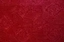 Shubham red caarpet.webp