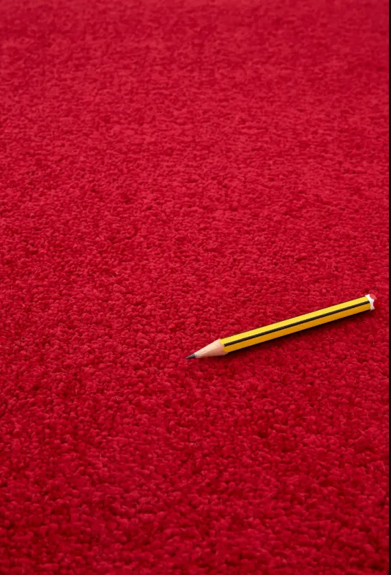 Screenshot 2026-03-26 202556.webp